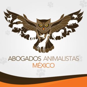 Abogados animalistas 